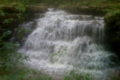 Primrose Creek Waterfall