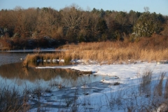 Ice on the pond