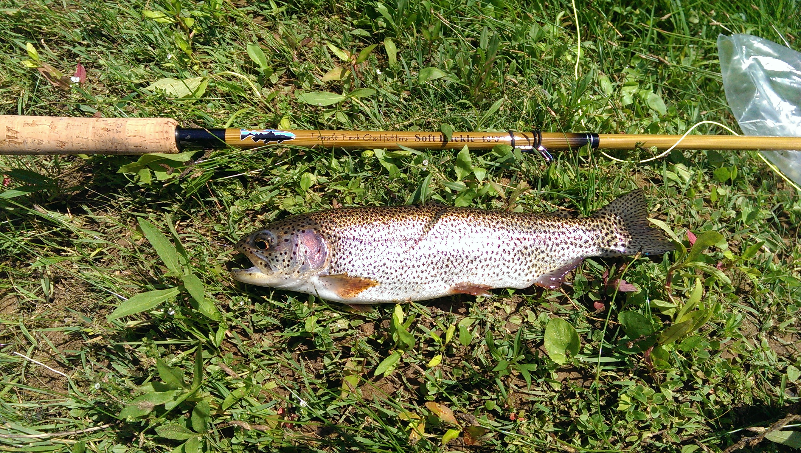 Tenkara: Traditional Japanese Fly Fishing on the Little Red